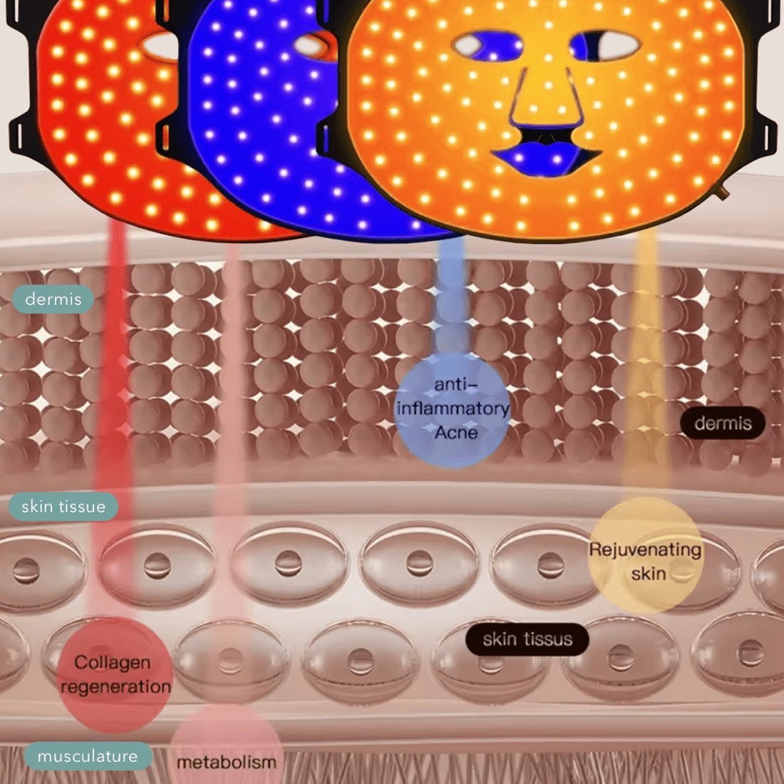 AURELUX™ LED Light Skin Rejuvenation Therapy Face Mask (white) - The Red Light Store